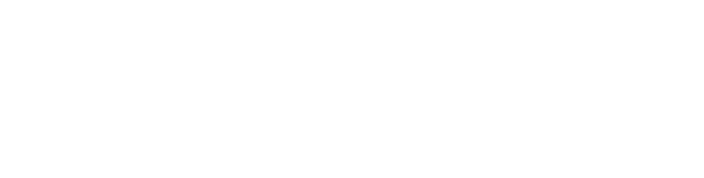 Project Safety Solutions